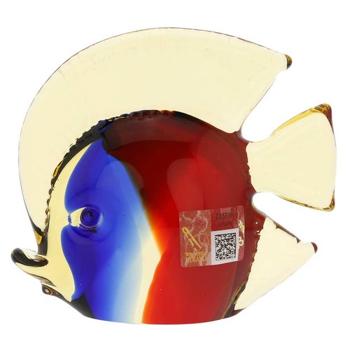Glassofvenece pesce tropicale - glassofvenece,