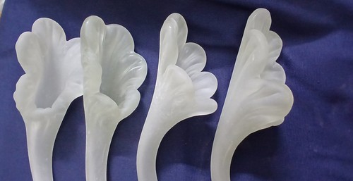 Grandi fiori tulipano in - 4, di